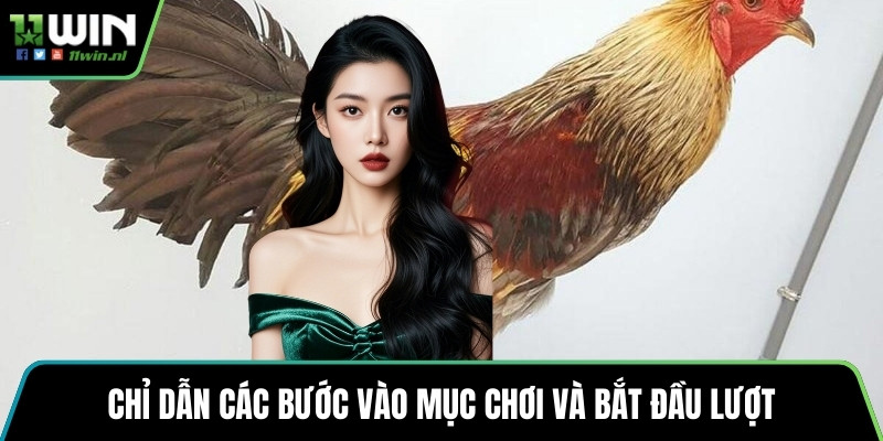 Chỉ dẫn các bước vào mục chơi và bắt đầu lượt