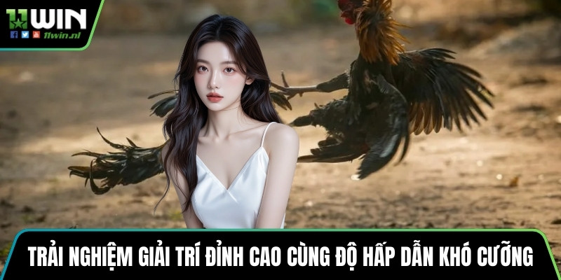 Trải nghiệm giải trí đỉnh cao cùng độ hấp dẫn khó cưỡng